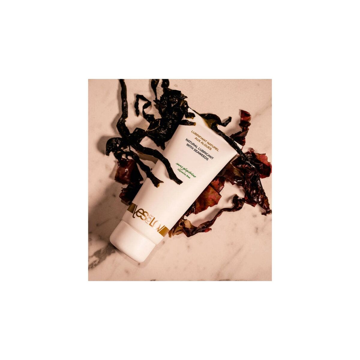 V6HC4FA66DC9D25616B365805043B31B6CFR4659443P3