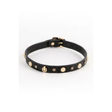 V6H54BB84CB37C5847EACE2F9E284A6E2E9R5103055P1