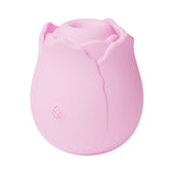 V2H49B2BDE89380E2F22AC4476556540A2CR7601603P1