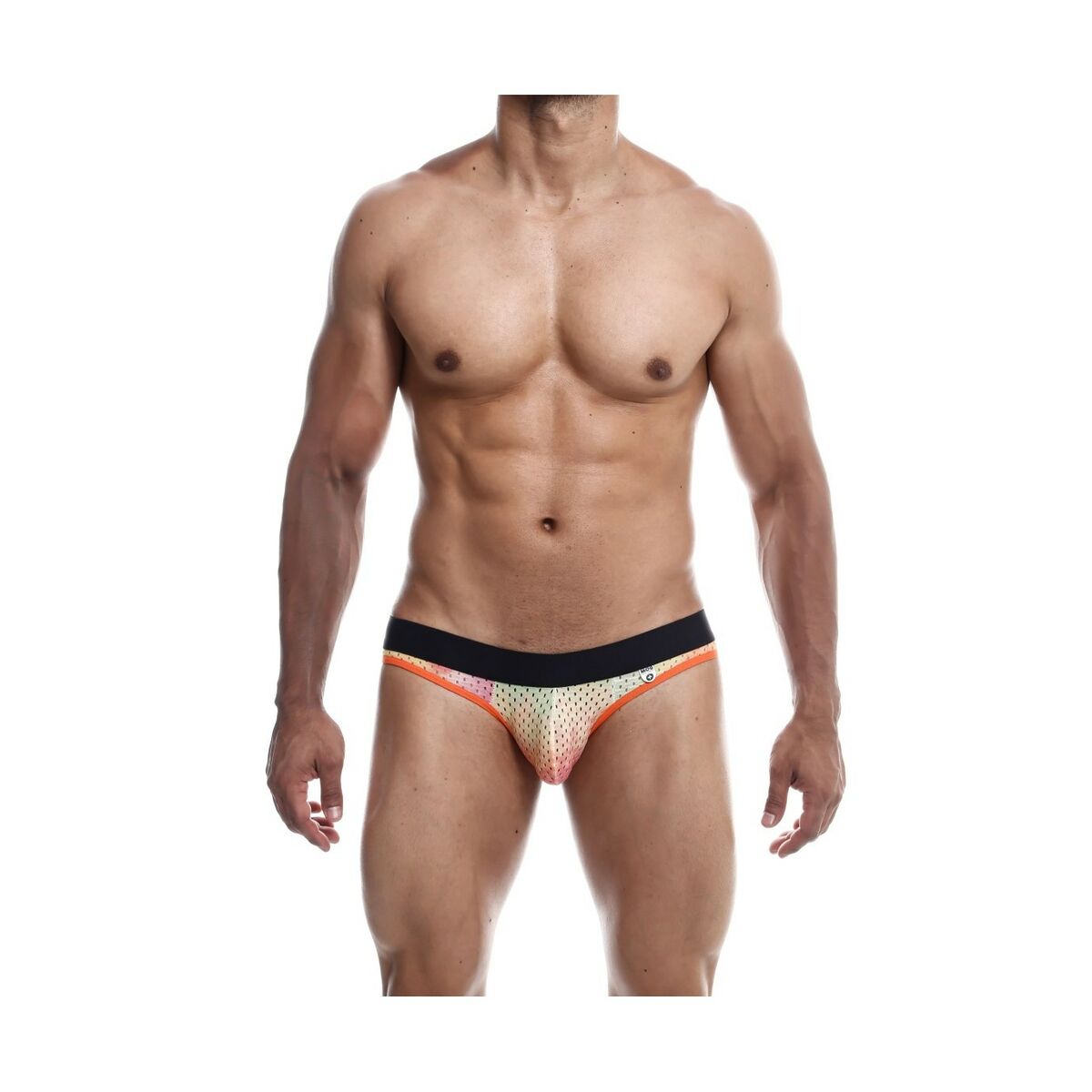 V6HD66A3A330B32B05FF319EE99216E939CR4665425P4