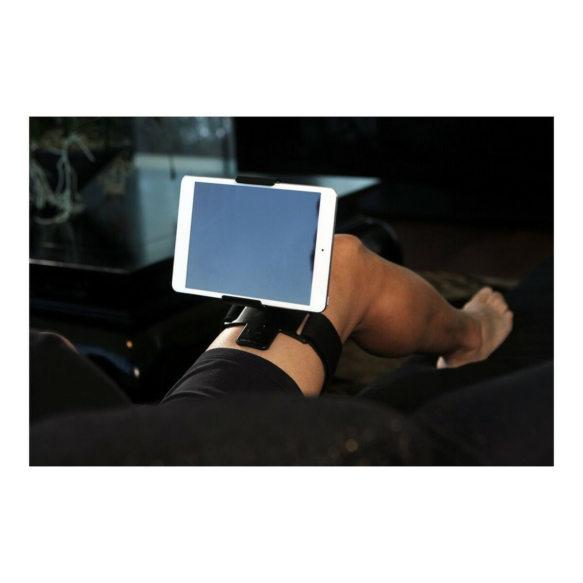 V12H15623FB8339FC84254C7413BD664ED28R2501001P5