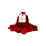 V9HBC24B635230E888399B546E0D50A784DR4210471P1