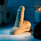V4H2FEF8301CB2C9F00DE0BA366A3A47413R4916141P3
