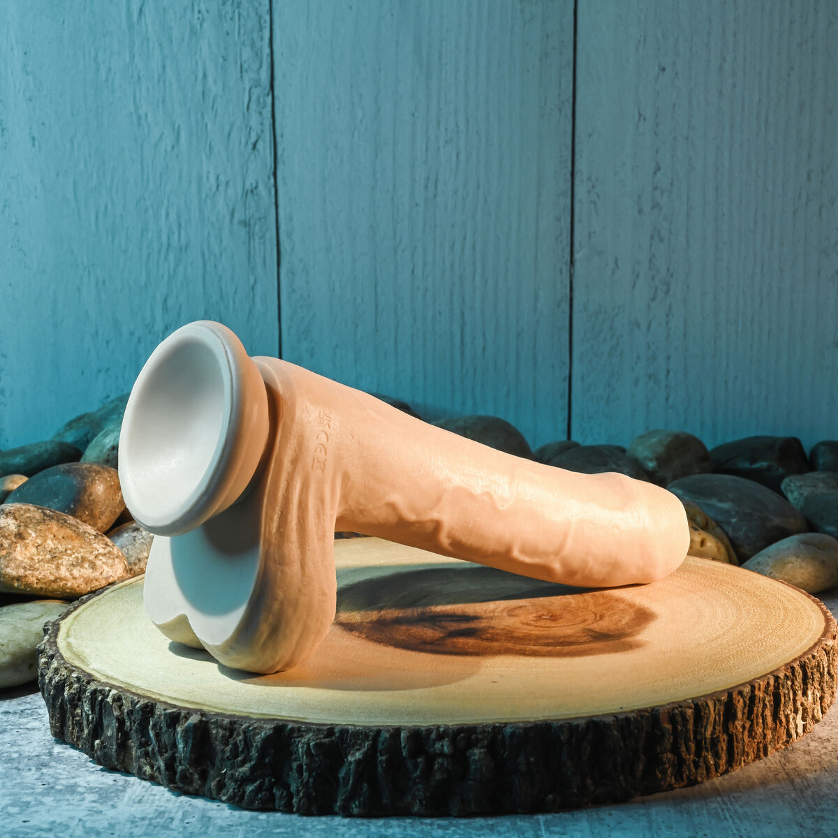 V5H580115C55B7C7DC5EF498F10F7587FFDR4846187P10