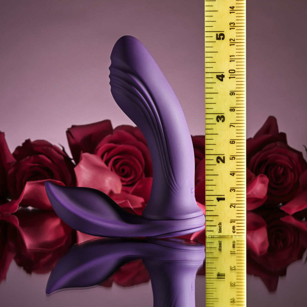 V6H7987AFA33045B97A7088E378B7DAED64R7068648P10