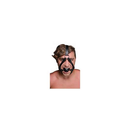 V6H3EAF752958112302DF9D388C117A3F10R4676634P1