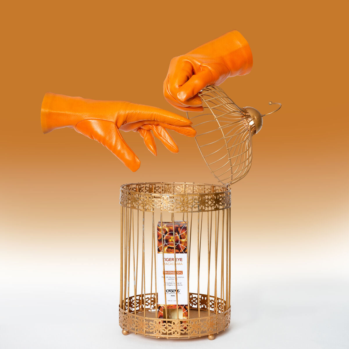 V6H40694A2C214522A825324F471999CCC9R4631729P7