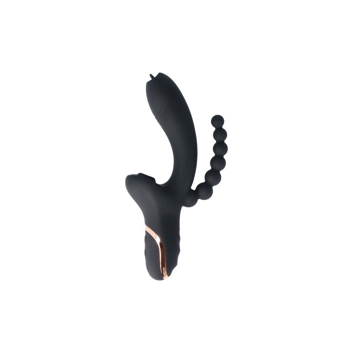 V1H6A40C98E3B1A97A16D50E0CE29F5B209RP1