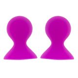 V6H8CDDCBD4A02442CCB19474163BB50521R4905310P1
