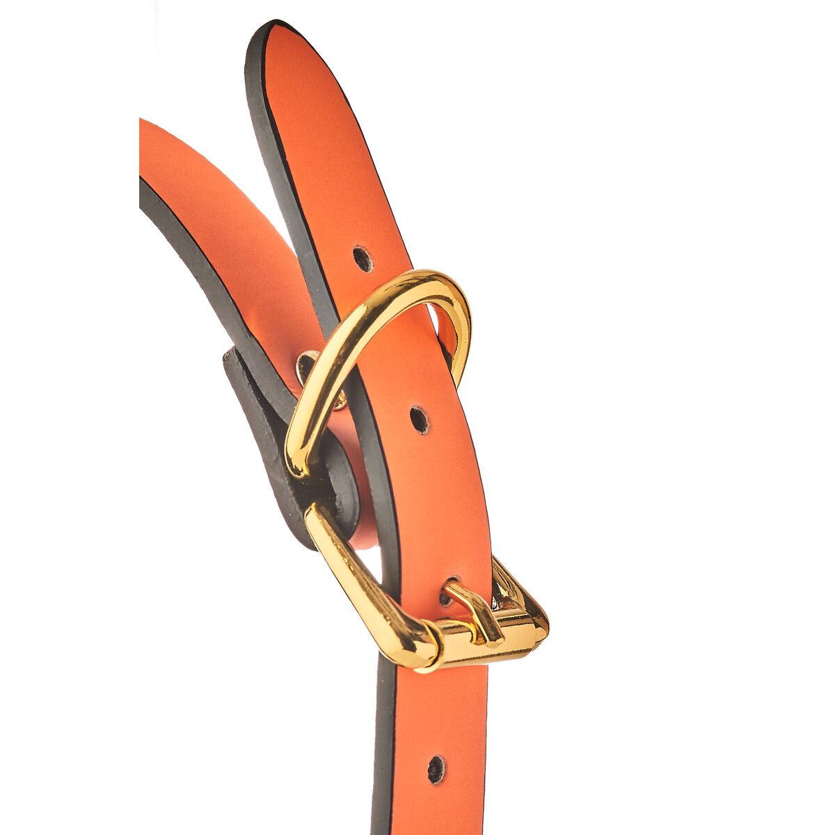 V6H217D9D9DAB96566D01AC8065556CDEB1R5078379P5