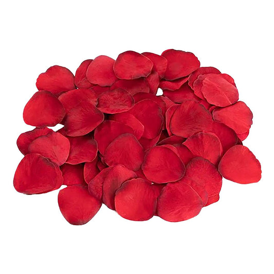 V4HD58FFABDD12311943295766481D20C2FR5547476P3